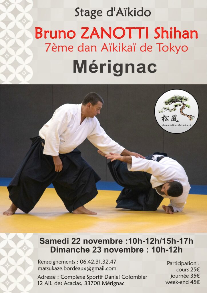 Stage Aïkido Bruno Zanotti 7e dan Merignac 2025